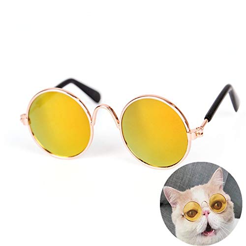 hongyupu Brille Hund Hundebrille Für Kleine Hunde Augenschutzbrille UV-Brille für Hund Faltbare Hundesonnenbrille Welpen Sonnenbrille Hundebrille Augenschutz Gold hongyupu Brille Hund Hundebrille Für Kleine Hunde Augenschutzbrille UV-Brille für Hund Faltbare Hundesonnenbrille Welpen Sonnenbrille Hundebrille Augenschutz Gold von hongyupu