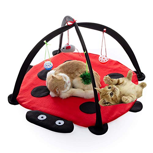 hongyupu Cat Toy Katzen Spielzeug Katzenfeder Spielzeug Interaktives Katzenspielzeug für Indoor-Katzen Katze Ballspielzeug Interaktives Katzenspielzeug hongyupu Cat Toy Katzen Spielzeug Katzenfeder Spielzeug Interaktives Katzenspielzeug für Indoor-Katzen Katze Ballspielzeug Interaktives Katzenspielzeug von hongyupu