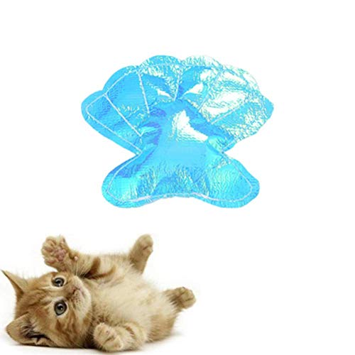 hongyupu Cat Toy Katzenspielzeug Set Katze Spielzeug Bälle Kätzchen-Spielwaren für Innenkatzen für Indoor-Katzen Interaktives Katzenspielzeug Shell hongyupu Cat Toy Katzenspielzeug Set Katze Spielzeug Bälle Kätzchen-Spielwaren für Innenkatzen für Indoor-Katzen Interaktives Katzenspielzeug Shell von hongyupu