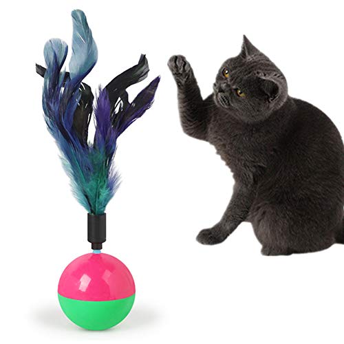 hongyupu Cat Toy Katzenspielzeug Set Katzen Zauberstab Katze Spielzeug Bälle Interaktives Katzenspielzeug Kätzchen-Spielwaren für Innenkatzen Feather hongyupu Cat Toy Katzenspielzeug Set Katzen Zauberstab Katze Spielzeug Bälle Interaktives Katzenspielzeug Kätzchen-Spielwaren für Innenkatzen Feather von hongyupu