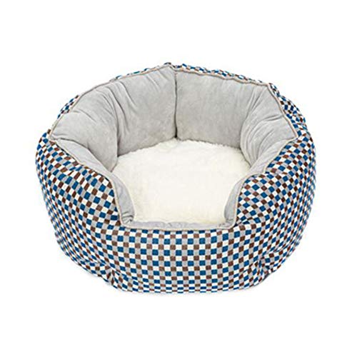 hongyupu Hundebetten Hundehaus Für Drinnen Katze Betten Für Indoor Katzen Hundekomfortbett Hund Betten Kleine Plüsch Katze Bett Beruhigende Katze Bett Light Blue hongyupu Hundebetten Hundehaus Für Drinnen Katze Betten Für Indoor Katzen Hundekomfortbett Hund Betten Kleine Plüsch Katze Bett Beruhigende Katze Bett Light Blue von hongyupu