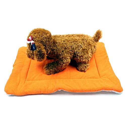 hongyupu Hundedecken Waschbar Hundedecke Hundekiste Bett Kätzchenbett Flauschige Decke Dicke Welpenbett Hundebettwäsche Katzendecke Haustierdecke orange,s hongyupu Hundedecken Waschbar Hundedecke Hundekiste Bett Kätzchenbett Flauschige Decke Dicke Welpenbett Hundebettwäsche Katzendecke Haustierdecke orange,s von hongyupu