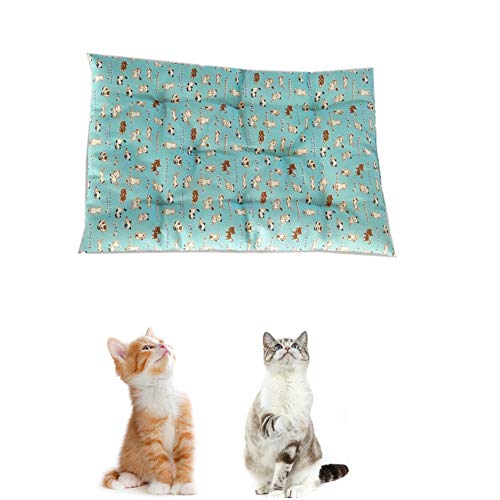 hongyupu Kuscheldecke Hund Hundedecken Waschbar Weiches Tierarztbett Kätzchenbett Weiche Katze Mat Hundekiste Bett Haustierbett Hundekomfortbett blue1,l hongyupu Kuscheldecke Hund Hundedecken Waschbar Weiches Tierarztbett Kätzchenbett Weiche Katze Mat Hundekiste Bett Haustierbett Hundekomfortbett blue1,l von hongyupu