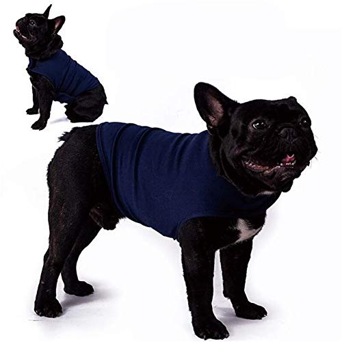 hongyupu Panikgeschirr Für Hunde Hundemantel Medizinisches Haustier Shirt Hund Hund Angst Jacke Angst Hundemantel Dog Recovery Suits Blue,xs hongyupu Panikgeschirr Für Hunde Hundemantel Medizinisches Haustier Shirt Hund Hund Angst Jacke Angst Hundemantel Dog Recovery Suits Blue,xs von hongyupu