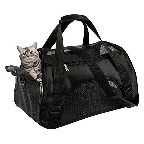 hongyupu Tragetasche Für Kleine Hunde Tragetasche Hund Hundeträger für mittlere Hunde Hunderucksackträger Hundeträgertaschen für kleine Hunde Black,M hongyupu Tragetasche Für Kleine Hunde Tragetasche Hund Hundeträger für mittlere Hunde Hunderucksackträger Hundeträgertaschen für kleine Hunde Black,M von hongyupu