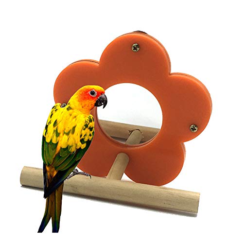 hongyupu Wellensittich ZubehöR Wellensittich Spielzeug FüR Den KäFig Vogelspielzeug Für Papageienvögel Papagei Spielzeug Wellensittichspielzeug hongyupu Wellensittich ZubehöR Wellensittich Spielzeug FüR Den KäFig Vogelspielzeug Für Papageienvögel Papagei Spielzeug Wellensittichspielzeug von hongyupu