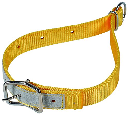 horizont Halsriemen für Schafe, aus Nylon, gelb, lederverstärkt horizont Halsriemen für Schafe, aus Nylon, gelb, lederverstärkt von horizont