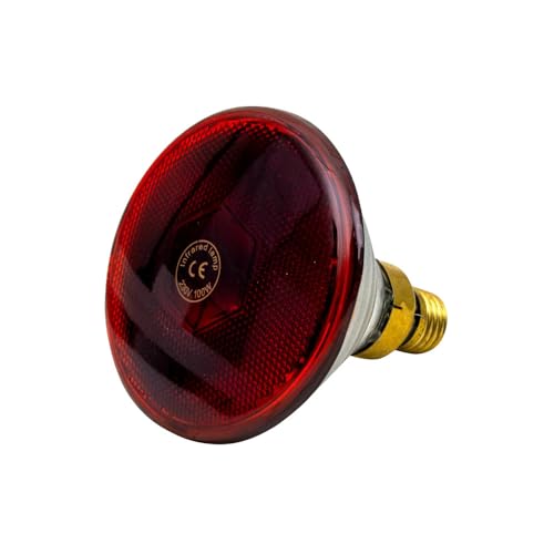 horizont Infrarot-Sparlampe - 100 Watt - Farbe rot - E27 - Infrarotlampe für Aufzucht und Genesung - energiesparend - ideal für Klein- und Nutztiere von horizont