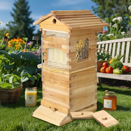 Fließender Bienenstock, selbstfließender Honig-Bienenstock, Holzkiste Fließender Bienenstock, selbstfließender Honig-Bienenstock, Holzkiste von housappk