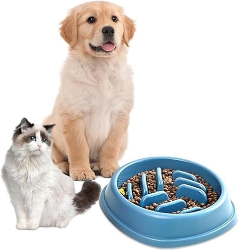 hssopa Slow Feeder Hunde Schüsseln, Slow Food Schüssel für Haustiere, Katze Slow Feeder, Hunde Schüsseln Kleiner Hund, Nicht-Erstickungs-, Nicht-Ru (Blau, Haustierschale) von hssopa