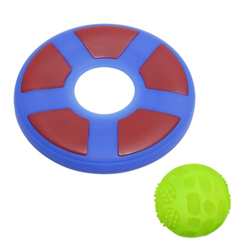 hssopa Hundespielzeug, leuchtet im Dunkeln, Hundeball, interaktives Hundespielzeug, unzerstörbares Hundespielzeug, leuchtet im Dunkeln, Chuck It Ball (Blau, 2 Stück) von hssopa