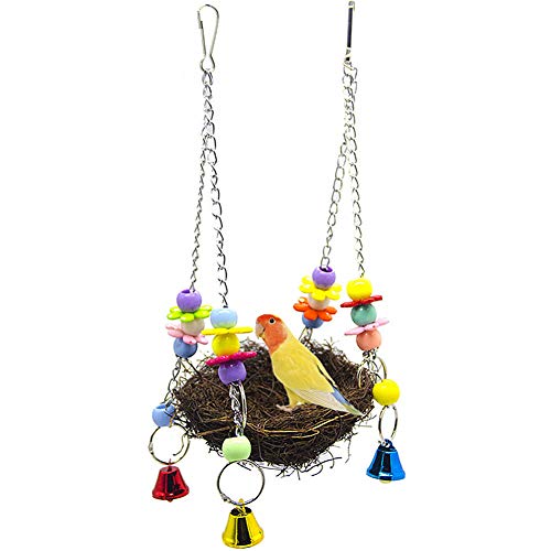huahuajia VogelkäFig ZubehöR Wellensittich Wellensittich Spielzeug Vogelspielzeug Papagei Spielzeug Papagei Spielzeug Wellensittich Spielzeug 12cm huahuajia VogelkäFig ZubehöR Wellensittich Wellensittich Spielzeug Vogelspielzeug Papagei Spielzeug Papagei Spielzeug Wellensittich Spielzeug 12cm von huahuajia