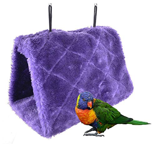 huahuajia Wellensittich Spielzeug FüR Den KäFig Papageienspielzeug Papageienbarsch Nymphensittich Spielzeug Wellensittich Spielzeug Wellensittichspielzeug Purple,17 huahuajia Wellensittich Spielzeug FüR Den KäFig Papageienspielzeug Papageienbarsch Nymphensittich Spielzeug Wellensittich Spielzeug Wellensittichspielzeug Purple,17 von huahuajia