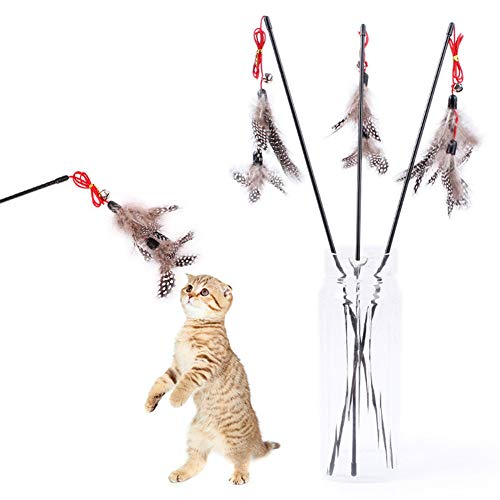 huahuajia katzenspielzeug Angel katzenspielzeug Set Katzenfederspielzeug Katzenspielzeug mit Federn Katzenspielzeugstock Katzen Zauberstab Spielzeug c huahuajia katzenspielzeug Angel katzenspielzeug Set Katzenfederspielzeug Katzenspielzeug mit Federn Katzenspielzeugstock Katzen Zauberstab Spielzeug c von huahuajia