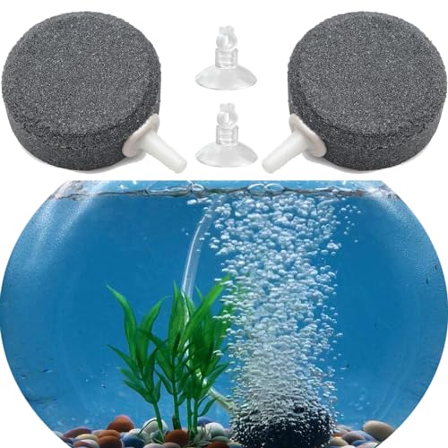 Aquarium Luftstein, 2 Pcs Aquarium Luftausströmer, 4 cm Ausströmersteine für Aquarien,sprudelstein für Aquarium Aquarium , Sauerstoffsteinscheibe, Blasendiffusor, für kleine Teiche und DWC Reservoirs Aquarium Luftstein, 2 Pcs Aquarium Luftausströmer, 4 cm Ausströmersteine für Aquarien,sprudelstein für Aquarium Aquarium , Sauerstoffsteinscheibe, Blasendiffusor, für kleine Teiche und DWC Reservoirs von hufhnwso