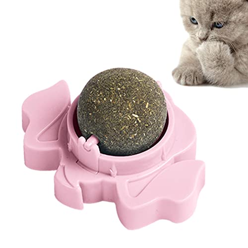 huiba Leckspielzeug für Katzen, Beißen der Zähne, rotierendes Katzenspielzeug, Leckkugeln, Katzen, zum Kleben von Wänden, Fenstern, Tischbeinen huiba Leckspielzeug für Katzen, Beißen der Zähne, rotierendes Katzenspielzeug, Leckkugeln, Katzen, zum Kleben von Wänden, Fenstern, Tischbeinen von huiba
