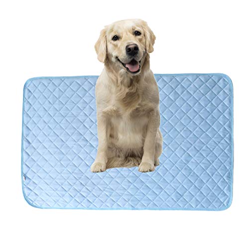 huihuijia Cool Pads für Hunde Hund Kühlmatte Kühlmatte Kühlmatte Hundematte Haustiermatte Kaninchen Kühlmatte Haustier Kühlmatte Kühl Hundebett Katzenmatte Trainingspads 50 von huihuijia