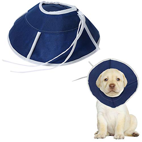 huihuijia Schutzkragen Hundekragen Medizinische Halsbänder für Hunde Hunde-Anti-Biss-Halsband Cat Recovery Collar Katzenhalsbänder Kegel 89 von huihuijia