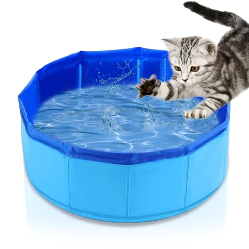 Katzenwasserspielzeug mit 6 schwimmenden Fischen - Interaktives Wasserspielbecken für gelangweilte Indoor-Katzen - Faltbares Anreicherungsspielzeug für Selbstspiel, Baden, Kühlen & Hydratationsspaß Katzenwasserspielzeug mit 6 schwimmenden Fischen - Interaktives Wasserspielbecken für gelangweilte Indoor-Katzen - Faltbares Anreicherungsspielzeug für Selbstspiel, Baden, Kühlen & Hydratationsspaß von hurifeng