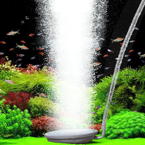 hygger Aquarium-Luftstein, 5,8 cm großes Aquarium-Bubbler-Stein-Set macht super winzige Blasen, ultra-hochgelöster Ausströmer mit Edelstahl-Basis, Aquarium und Hydrokultur hygger Aquarium-Luftstein, 5,8 cm großes Aquarium-Bubbler-Stein-Set macht super winzige Blasen, ultra-hochgelöster Ausströmer mit Edelstahl-Basis, Aquarium und Hydrokultur von hygger