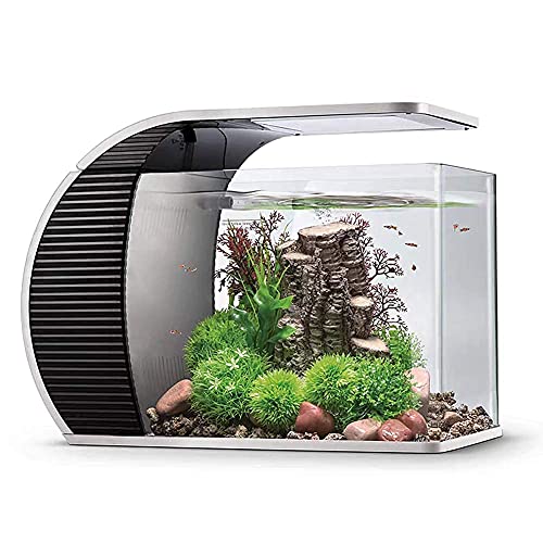 hygger LED Glasaquarium-Set 19 Liter, Panoramaaquarium geschwungene Frontscheibe mit verborgenem Filter, LED-Beleuchtung (3 Farbmodi zur Auswahl) von hygger