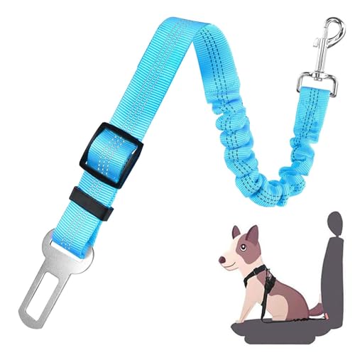 Hunde-Sicherheitsgurt für Auto, verstellbares Hundegeschirr, elastisches Bungee, starke Sicherheitskopfstütze, Auto-Sicherheitsgurt, Nylon-Leinen, reflektierende Rückhaltegurte für Hunde, Haustiere, Hunde-Sicherheitsgurt für Auto, verstellbares Hundegeschirr, elastisches Bungee, starke Sicherheitskopfstütze, Auto-Sicherheitsgurt, Nylon-Leinen, reflektierende Rückhaltegurte für Hunde, Haustiere, von hzbaiyi
