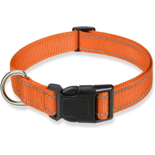 Hundehalsband, reflektierend, verstellbar, mit Sicherheitsschnalle, Metall, D-Ring, gepolstert, einfach zu montieren und zu verwenden, für Welpen, kleine, mittelgroße Hunde (Orange, Einheitsgröße) Hundehalsband, reflektierend, verstellbar, mit Sicherheitsschnalle, Metall, D-Ring, gepolstert, einfach zu montieren und zu verwenden, für Welpen, kleine, mittelgroße Hunde (Orange, Einheitsgröße) von hzbaiyi