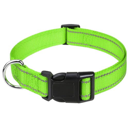 Hundehalsband, reflektierend, verstellbar, mit Sicherheitsschnalle, Metall, D-Ring, gepolstertes Halsband, einfach zu montieren und zu verwenden, für Welpen, kleine, mittelgroße Hunde (Grün, Hundehalsband, reflektierend, verstellbar, mit Sicherheitsschnalle, Metall, D-Ring, gepolstertes Halsband, einfach zu montieren und zu verwenden, für Welpen, kleine, mittelgroße Hunde (Grün, von hzbaiyi