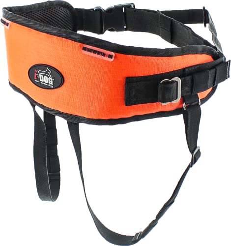 Gurtschlaufe One Light, ideal für leichte Schablonen/Kinder, Farbe Orange, Einheitsgröße, Canicross, Canirando, Canitrail, intensive Nutzung Sport oder Freizeit, I-dog französische Marke. Gurtschlaufe One Light, ideal für leichte Schablonen/Kinder, Farbe Orange, Einheitsgröße, Canicross, Canirando, Canitrail, intensive Nutzung Sport oder Freizeit, I-dog französische Marke. von I-dog