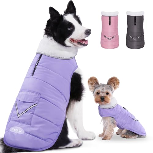 iBuddy Hunde-Wintermantel mit Fleece-Weste, wasserdicht, warm, winddicht, reflektierend, verstellbar, für große Hunde, Mädchen, Jungen von iBuddy