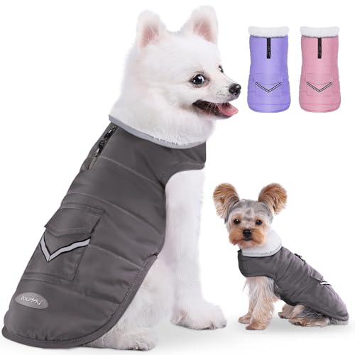 iBuddy Hunde-Wintermantel mit Fleece-Weste, wasserdicht, warm, winddicht, reflektierend, verstellbar, für kleine Hunde, Mädchen, Jungen von iBuddy