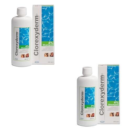 iCF Clorexyderm Shampoo 4% | Doppelpack | 2 x 250 ml | Shampoo-Konzentrat für Hunde und Katzen | Zur Reinigung von Haut und Fell | Zur Verringerung von abgestorbenen Zellen von ICF