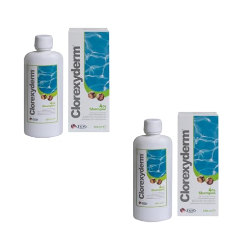 ICF Clorexyderm Shampoo 4% | Doppelpack | 2 x 250 ml | Shampoo-Konzentrat für Hunde und Katzen | Zur Reinigung von Haut und Fell | Zur Verringerung von abgestorbenen Zellen ICF Clorexyderm Shampoo 4% | Doppelpack | 2 x 250 ml | Shampoo-Konzentrat für Hunde und Katzen | Zur Reinigung von Haut und Fell | Zur Verringerung von abgestorbenen Zellen von ICF