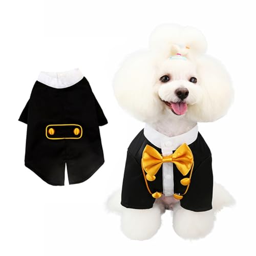 IEFIEL Hunde Smoking mit Fliege Formelles Hochzeits Party Kostüm Elegantes Anzug-Set für Fotoshootings Halloween Gold XXL IEFIEL Hunde Smoking mit Fliege Formelles Hochzeits Party Kostüm Elegantes Anzug-Set für Fotoshootings Halloween Gold XXL von iEFiEL