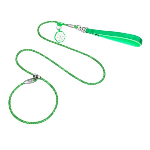 IEFIEL Hundeleide mit weichem Griff für Training Gehblei für kleine große mittlere Hunde Metallstopper Haustierleinen Grün One Size IEFIEL Hundeleide mit weichem Griff für Training Gehblei für kleine große mittlere Hunde Metallstopper Haustierleinen Grün One Size von iEFiEL