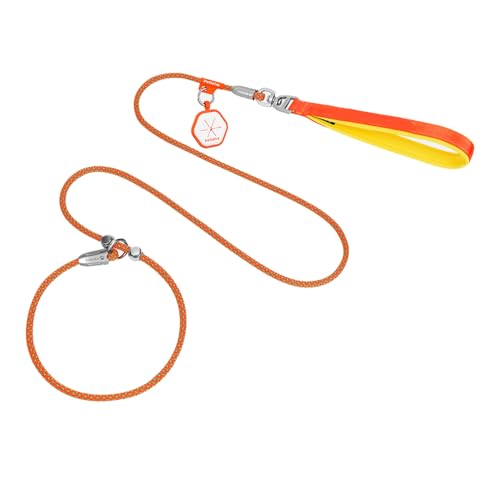 IEFIEL Hundeleide mit weichem Griff für Training Gehblei für kleine große mittlere Hunde Metallstopper Haustierleinen Orange One Size IEFIEL Hundeleide mit weichem Griff für Training Gehblei für kleine große mittlere Hunde Metallstopper Haustierleinen Orange One Size von iEFiEL