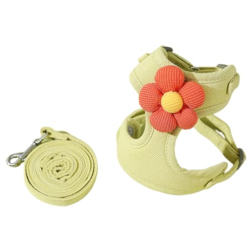 IEFIEL Hundegeschirr mit Leine Set Ziehen reflektierendes Step-in-Welpengeschirr Mesh atmungsaktivem Hundeweste Hellgrün XS von iEFiEL