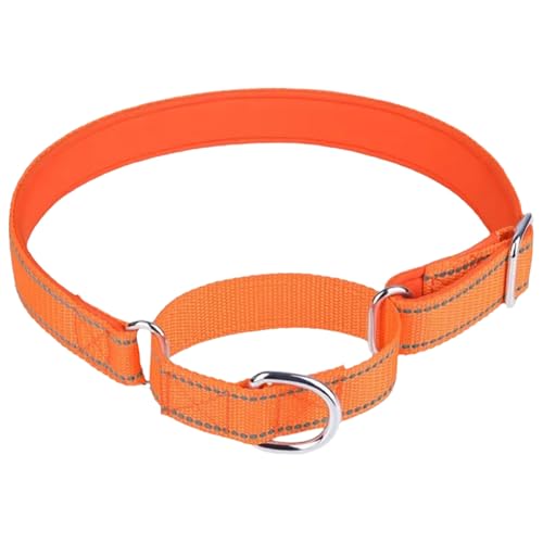 IEFIEL Robustes Martingal Halsband mit Reflektorstreifen Verstellbares Anti Zug Trainingshalsband mit Metallring Orange L von iEFiEL