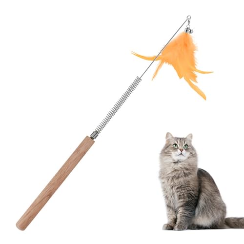 iEFiEL Katzenangel mit Holzgriff Feder und Glöckchen Flexibler Edelstahlstab für verspielte Katzen Orange One Size iEFiEL Katzenangel mit Holzgriff Feder und Glöckchen Flexibler Edelstahlstab für verspielte Katzen Orange One Size von iEFiEL