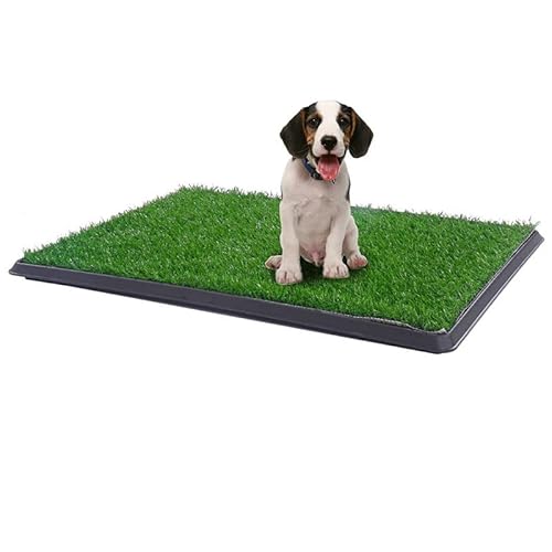 Hundetoilette aus Kunstrasen, 40,6 x 50,8 cm, wiederverwendbar, mit Tablett, Töpfchentraining, Grasmatte für kleine Hunde, drinnen und draußen Hundetoilette aus Kunstrasen, 40,6 x 50,8 cm, wiederverwendbar, mit Tablett, Töpfchentraining, Grasmatte für kleine Hunde, drinnen und draußen von iFCOW