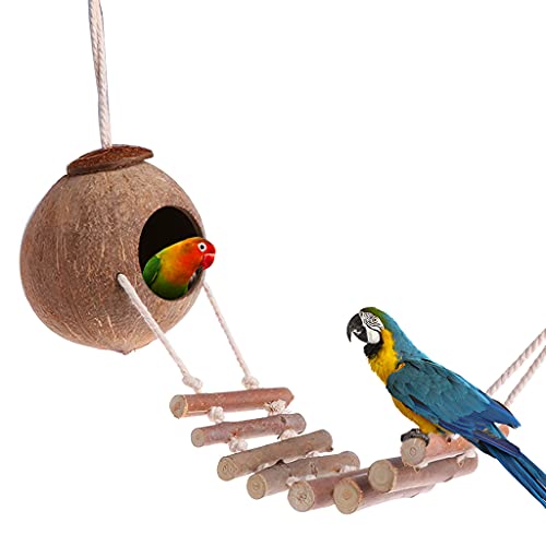 iFCOW Hängendes Kokosnuss-Vogelhaus mit Leiter, natürlicher Kokosnuss-Vogelnest-Vogelkäfig für Papageiensittich-Syrischer Hamsterkäfig von iFCOW