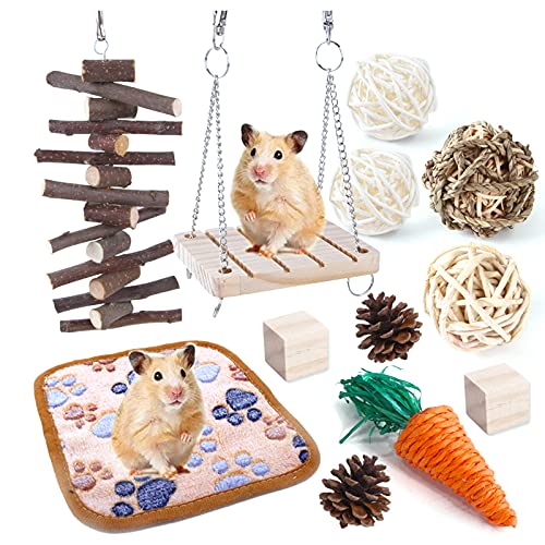 iFCOW Hamster-Kauspielzeug, 12 Stück Hamster-Spielzeug aus Holz, Kauspielzeug-Set, Zahnpflege für kleine Tiere, Meerschweinchen, Chinchillas, Rennmäuse, Hamster von iFCOW