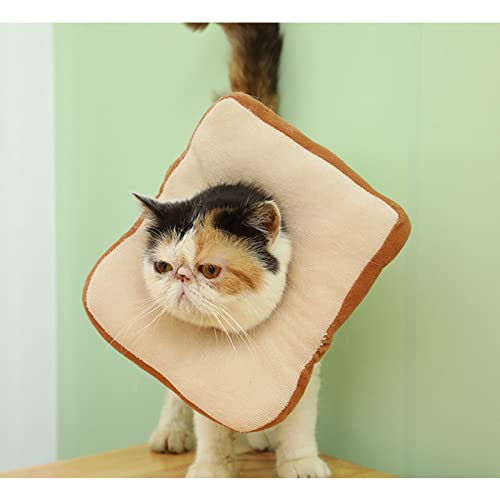 iFCOW Katzen-Genesungshalsband, niedliches Toast-Katzen-Genesungshalsband, Katzenkegel nach Operationen, elisabethanisches Halsband für Katze und Kätzchen von iFCOW