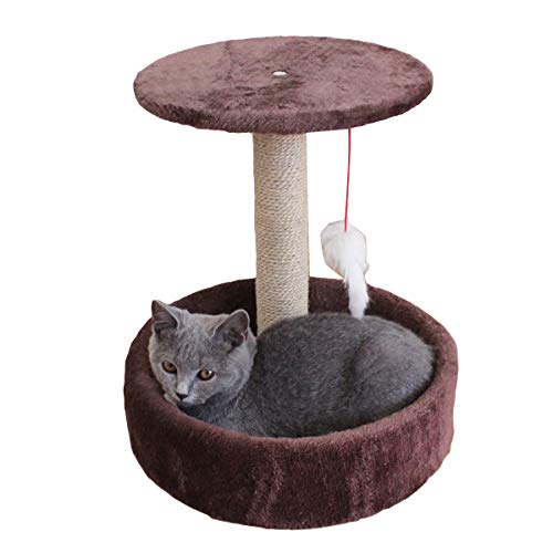 iFCOW Katzenbaum Turm, 2-lagiger Katzenbaum Bett mit Kratzbaum Hängendes Spielzeug Haustier Katze Klettern Aktivitätsturm zum Schlafen Entspannen Spielen von iFCOW