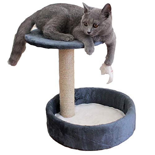 iFCOW Katzenbaum Turm, 2-lagiger Katzenbaum Bett mit Kratzbaum Hängendes Spielzeug Haustier Katze Klettern Aktivitätsturm zum Schlafen Entspannen Spielen von iFCOW