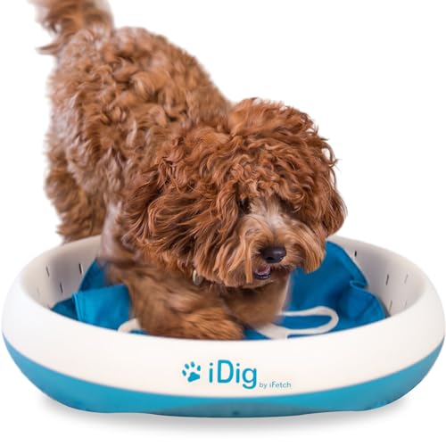 iFetch iDig Grabspielzeug, iDig Stay, One Size, blau/weiß iFetch iDig Grabspielzeug, iDig Stay, One Size, blau/weiß von iFetch