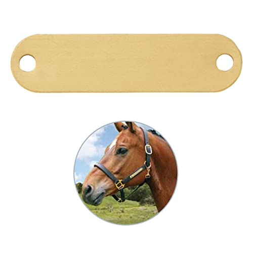 iMARC Pferdeschild mit Gravur - Klassisches Messingschild für Pferdeausrüstung, Reitplatz iMARC Pferdeschild mit Gravur - Klassisches Messingschild für Pferdeausrüstung, Reitplatz von iMARC