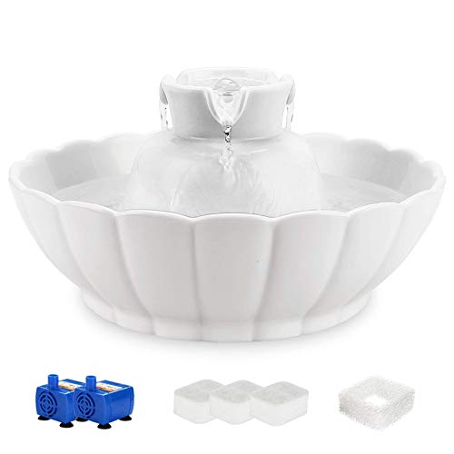 iPettie Tritone Keramik Pet Trinkbrunnen丨Ultra leise, viel Besser als Kunststoff丨Wasserbrunnen für Katzen und Hunde 2. 1 Liter Pet Water Spender mit Ersatzfilter und Schaumstoff, weiß iPettie Tritone Keramik Pet Trinkbrunnen丨Ultra leise, viel Besser als Kunststoff丨Wasserbrunnen für Katzen und Hunde 2. 1 Liter Pet Water Spender mit Ersatzfilter und Schaumstoff, weiß von iPettie