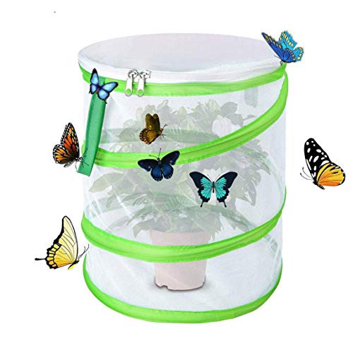 iPobie Insekt Und Schmetterling Habitat Käfig Pop-Up Insekten Pflanze Schutz Käfig von iPobie