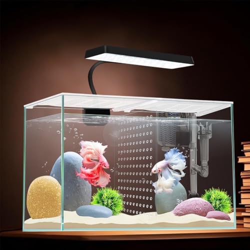 iPriro Nano-Glas-Aquarium mit Trennplatte für Betta, multifunktionales quadratisches Aquarium mit Filter, LED-Licht, Weiß, 4 mm Glas iPriro Nano-Glas-Aquarium mit Trennplatte für Betta, multifunktionales quadratisches Aquarium mit Filter, LED-Licht, Weiß, 4 mm Glas von iPriro
